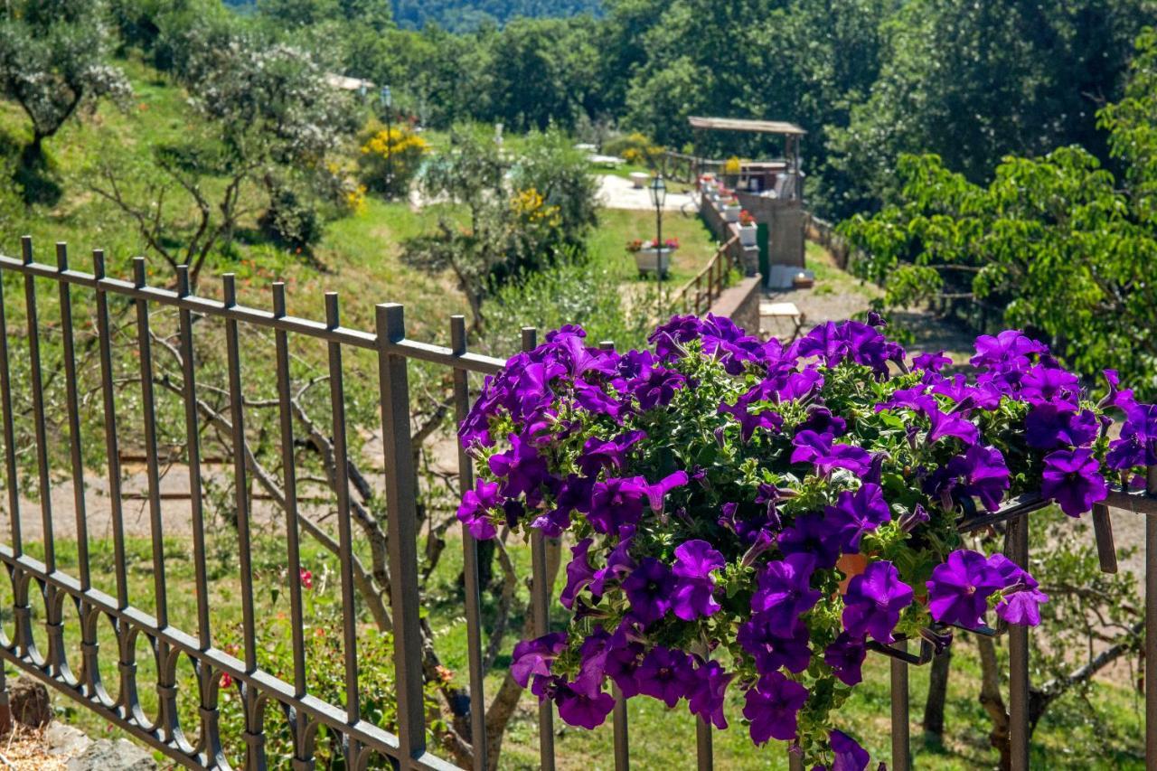 Podere Figlinelle Starda Extérieur photo