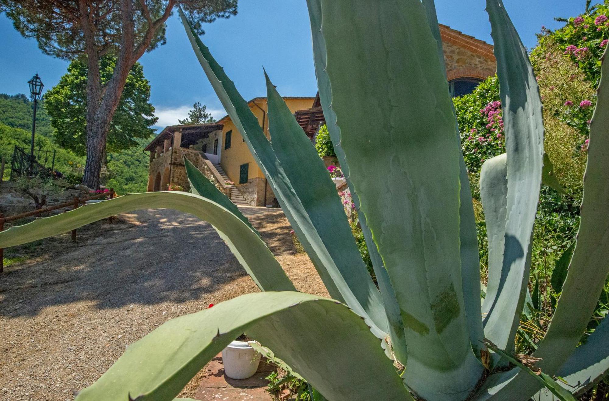 Podere Figlinelle Starda Extérieur photo